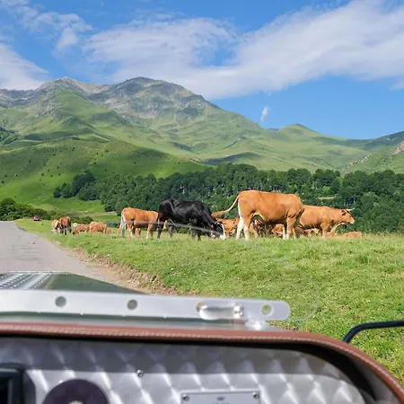 Mercure Saint-Lary-3