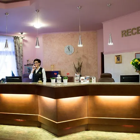 Hotel Zawiercie-3