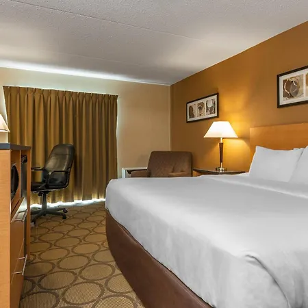 Clarion Pointe-3