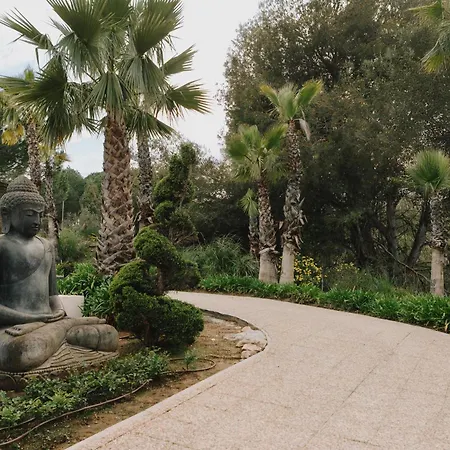 Shanti Som-3