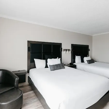 Hotel Universel Alma-2