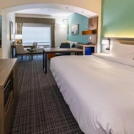 Comfort Inn & Suites New Iberia - Avery Island-3