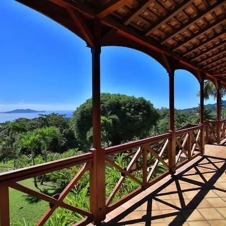 Jardin Malanga-2
