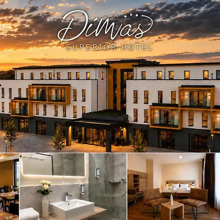 Dimas Hotel Ettenheim - Rust-3