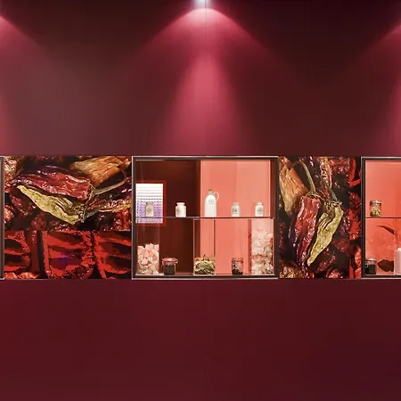 Mercure Hotel Duesseldorf Neuss-3