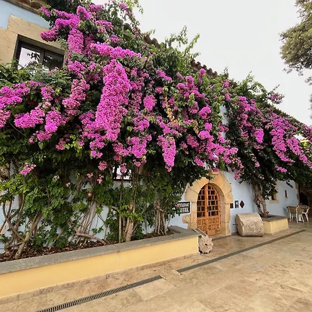 Boutique Hotel Comtal Empuries-3