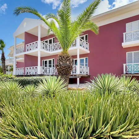 Chogogo Dive & Beach Resort Curacao-3