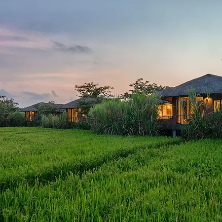 Water Garden Sigiriya - 30 Chic Designed Private Villas Overlooking Sigiriya-3