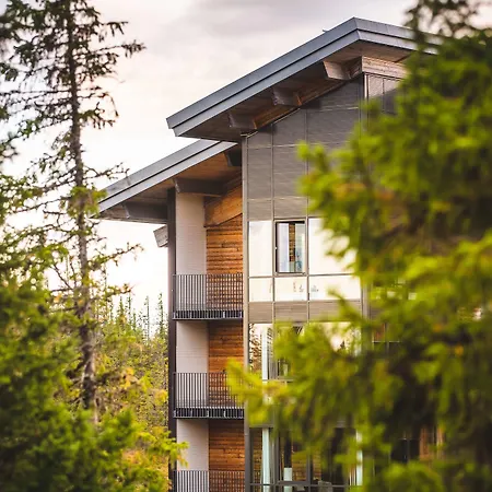 Copperhill Mountain Lodge-2