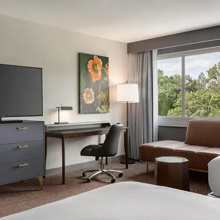 Hilton Baltimore BWI Airport-3