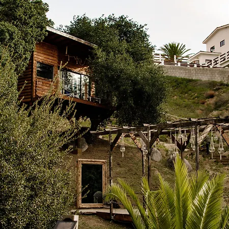 Boskenvid Hotel - Romantic Treehouses & Skypool-2