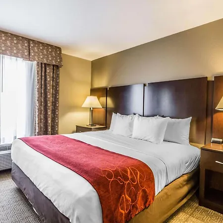 Comfort Suites Commerce-3