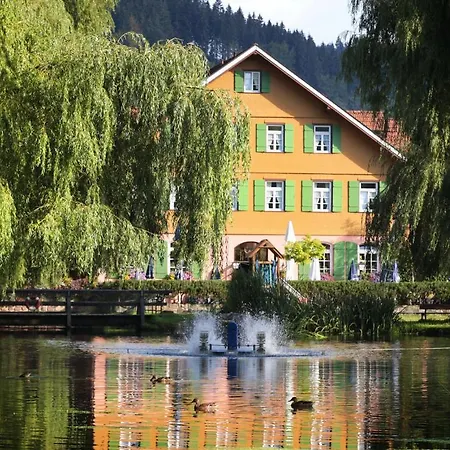 Hotel Zur alten Mühle-2