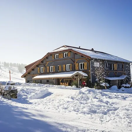 Hôtel Le Manoir des Montagnes-2