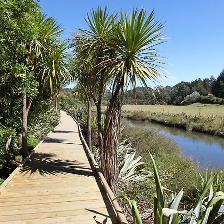 Hot Water Beach Top 10 Holiday Park-2
