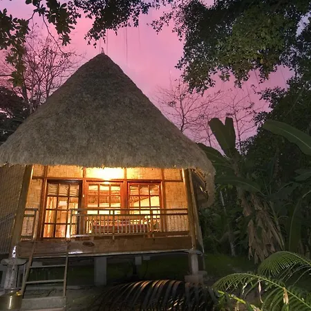 The Barefoot At Havelock-2