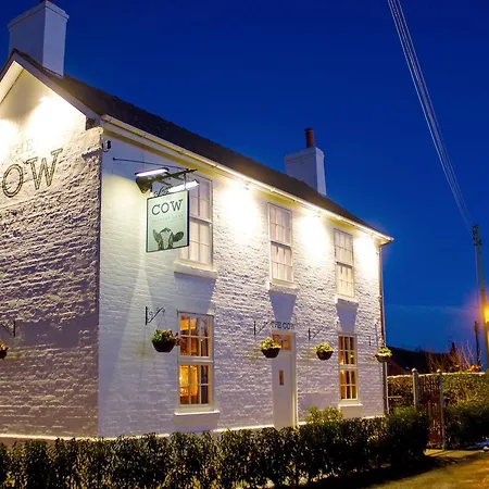 The Cow Dalbury-2