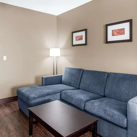 Comfort Suites Odessa Near University-3