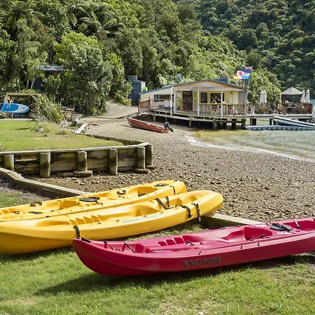 Punga Cove Resort-2
