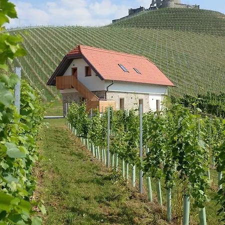 Weingut Taggenbrunn-2