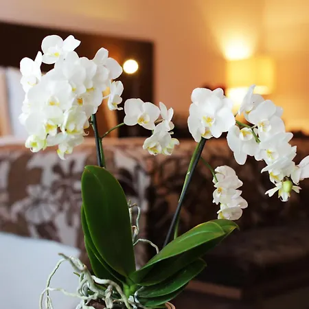 Hotel Zochova Chata - Adult friendly-3