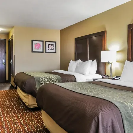Comfort Inn & Suites Artesia-3