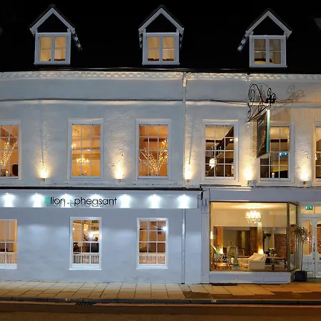 Lion & Pheasant Hotel-2