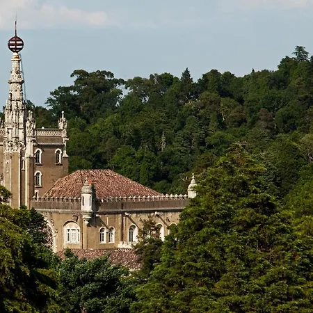 Palace Hotel Do Bussaco-3