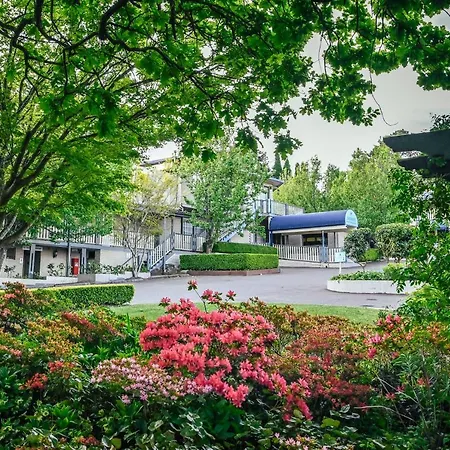 Nesuto Leura Gardens-3