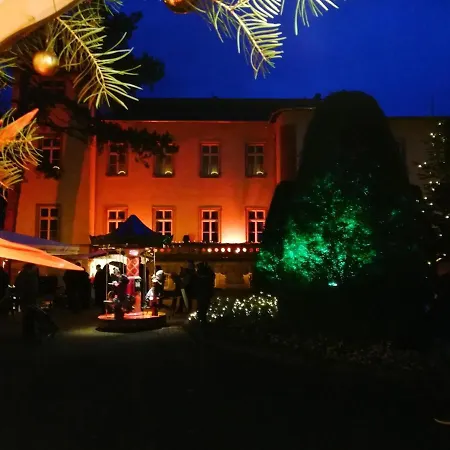 Parkhotel Bad Schandau - Direkt An Der Elbe-3