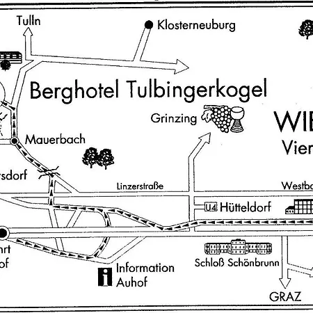 Berghotel Tulbingerkogel-3