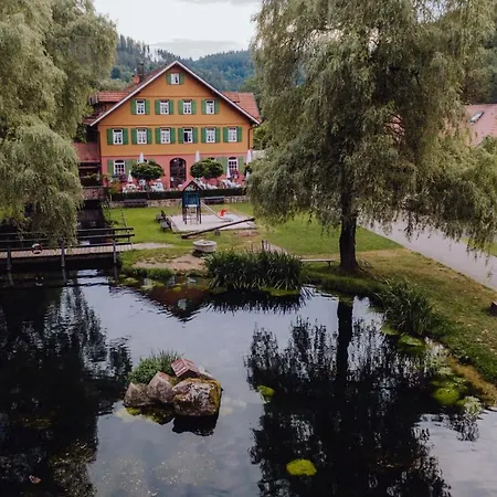 Hotel Zur alten Mühle-3