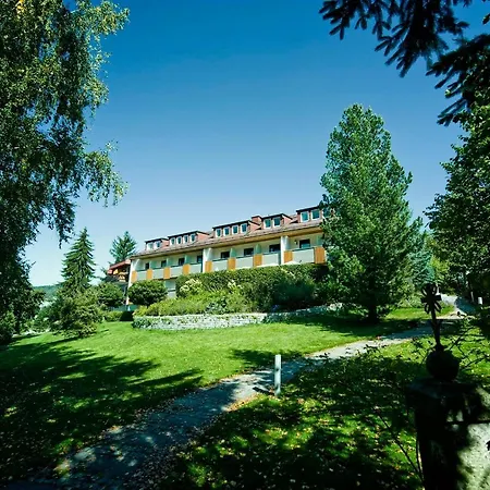 Hotel Brunnwald-3