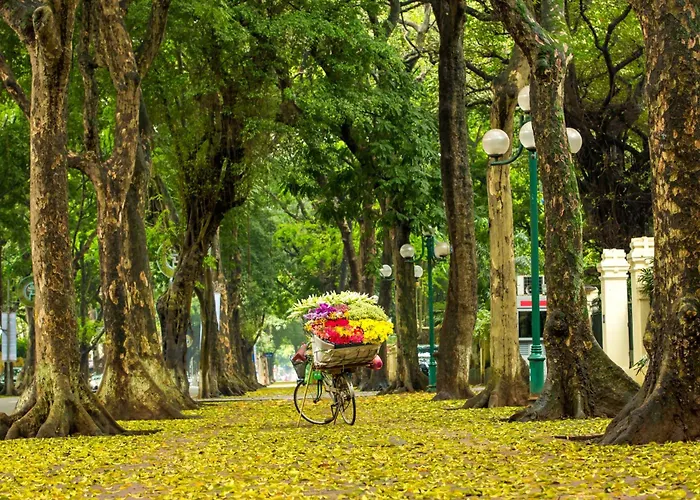 Hanoi Center Silk Hotel & Travel