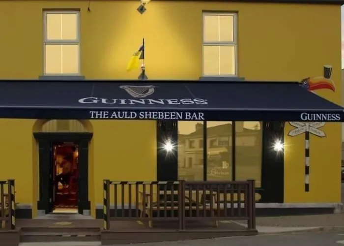 The Canalside B&B At The Auld Shebeen Bar