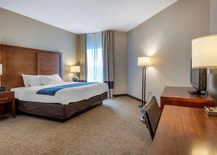 Comfort Inn Apalachin - Binghamton W Route 17