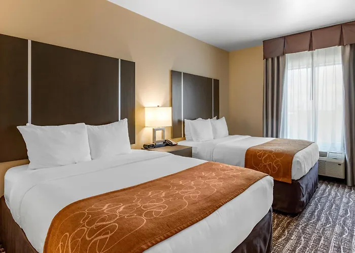 Comfort Suites Near Sam Houston Race Park Jersey Village