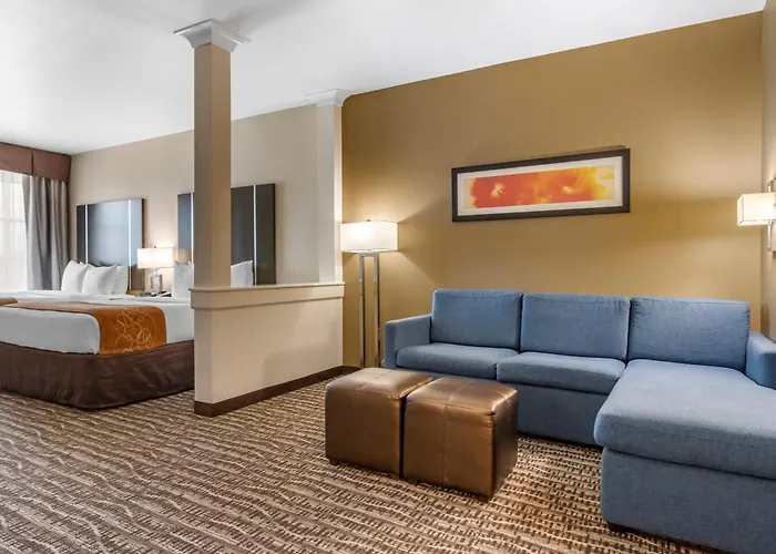 Comfort Suites Near Sam Houston Race Park