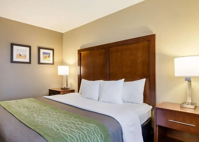Comfort Inn Garden City
