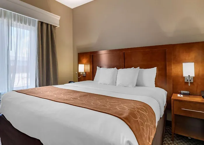 Comfort Suites Near Texas A&M -
