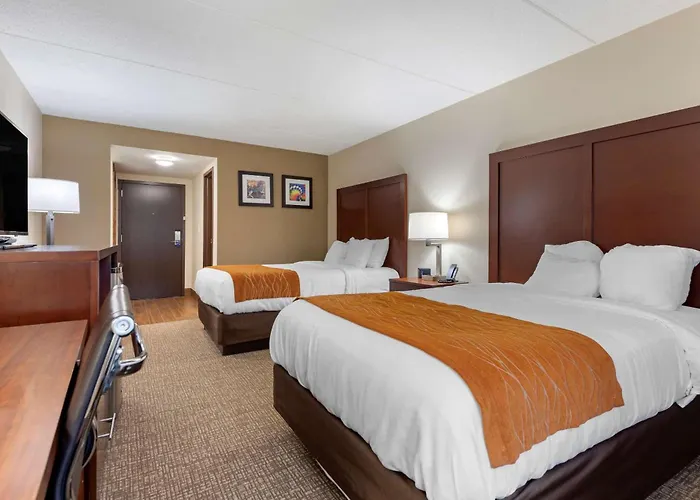 Comfort Inn Binghamton I-81