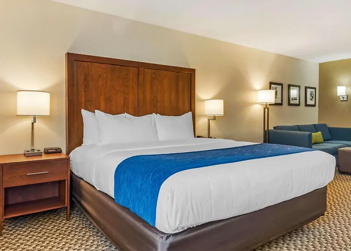 Comfort Inn & Suites Near Route 66 Lincoln