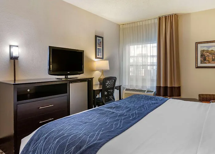 Comfort Inn Wings Stadium Kalamazoo