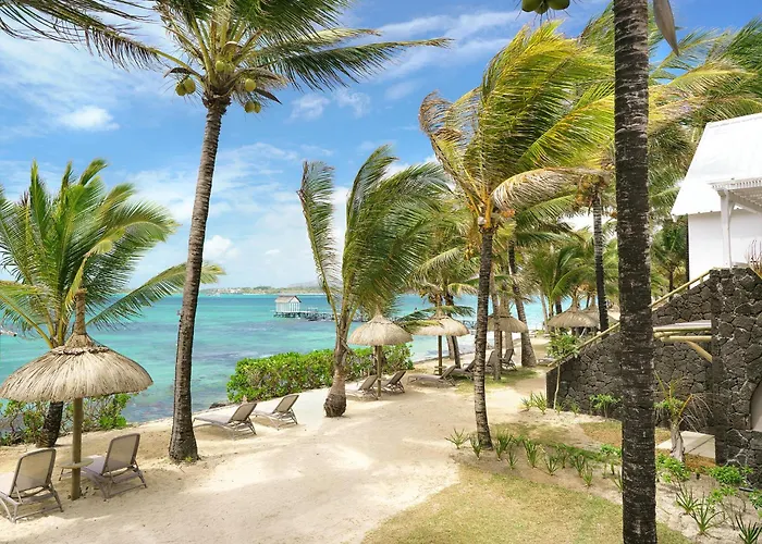 Tropical Attitude (Adults Only)