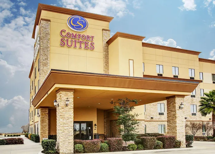 Comfort Suites Buda - Austin South