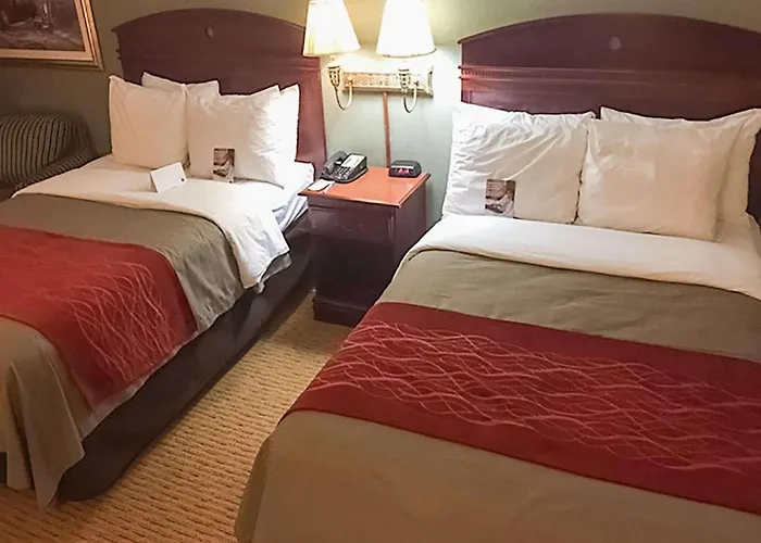 Comfort Inn Springfield