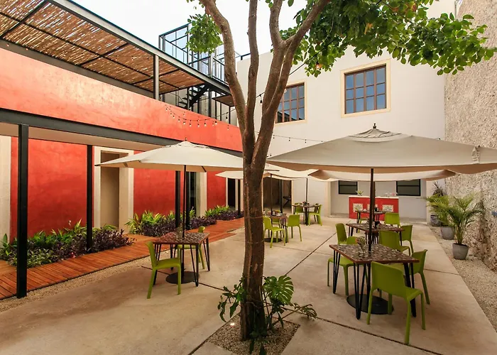 Casona 61 By Guru