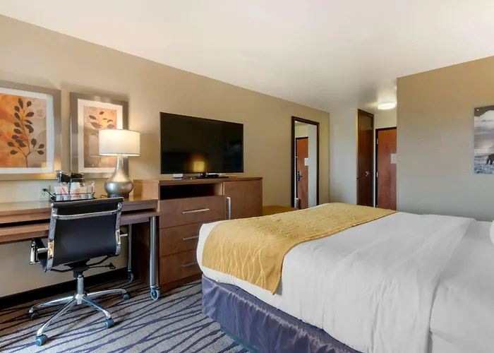 Comfort Inn & Suites Market - Airport Great Falls