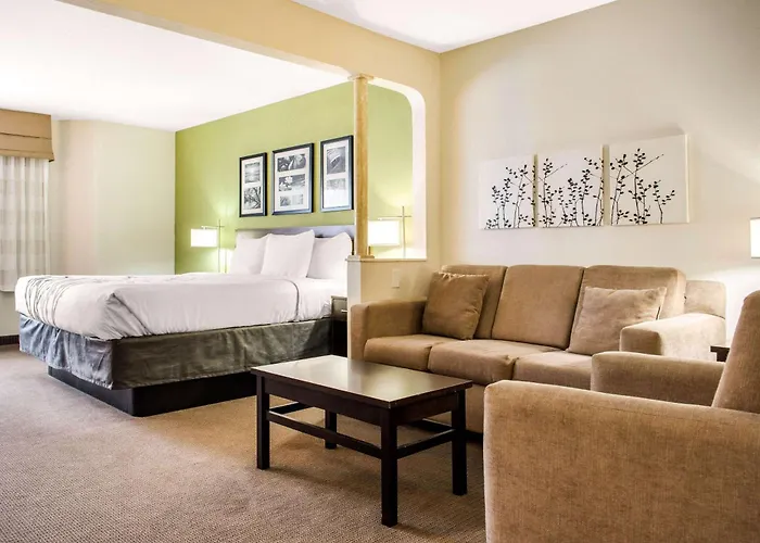 Sleep Inn & Suites South