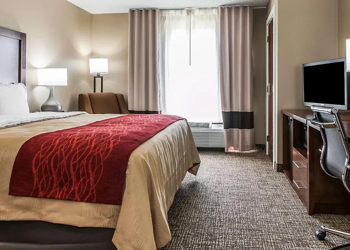 Comfort Inn & Suites Mount Sterling